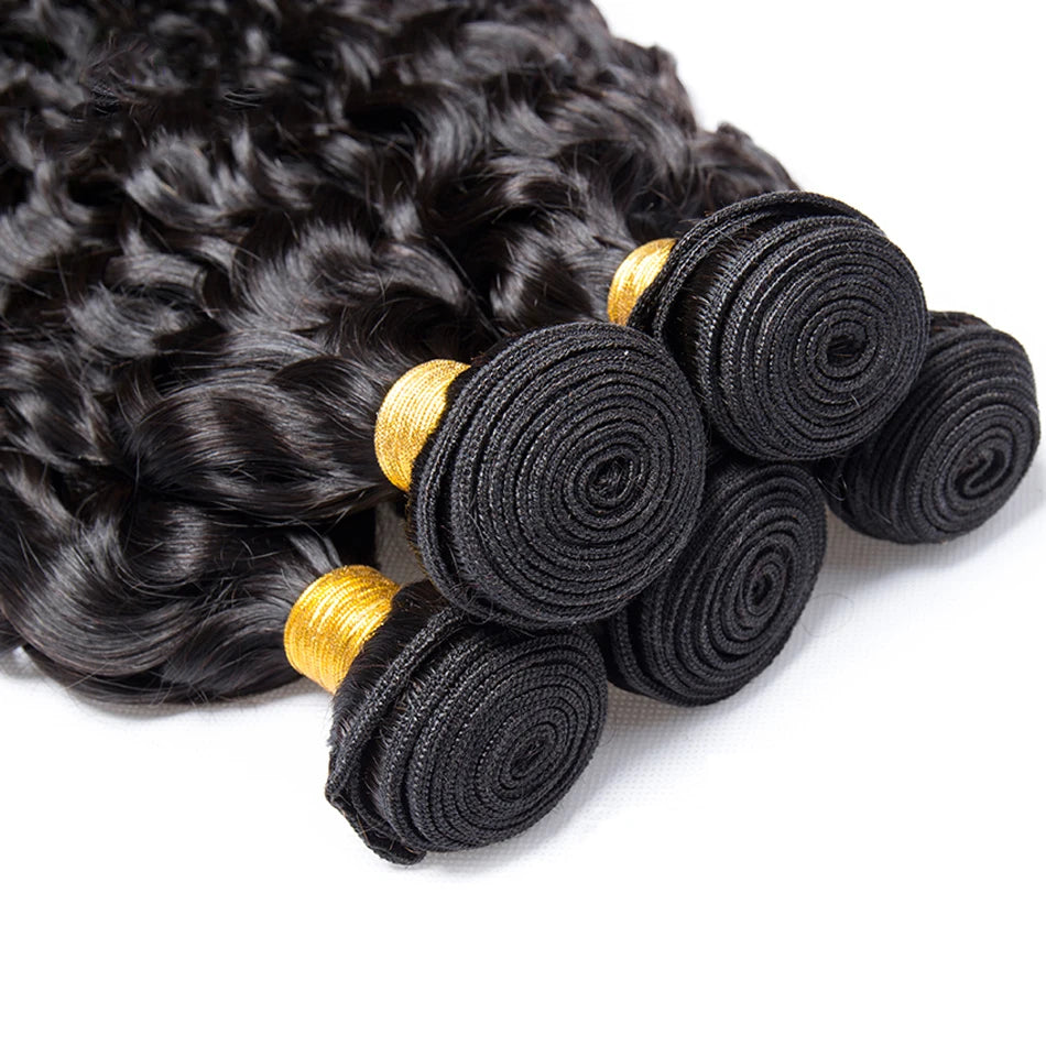 Malaysian Water Wave Bundles With Closure Wet and Wavy Curly Human Hair Bundles With Frontal Virgin Human Hair Weave Extensions