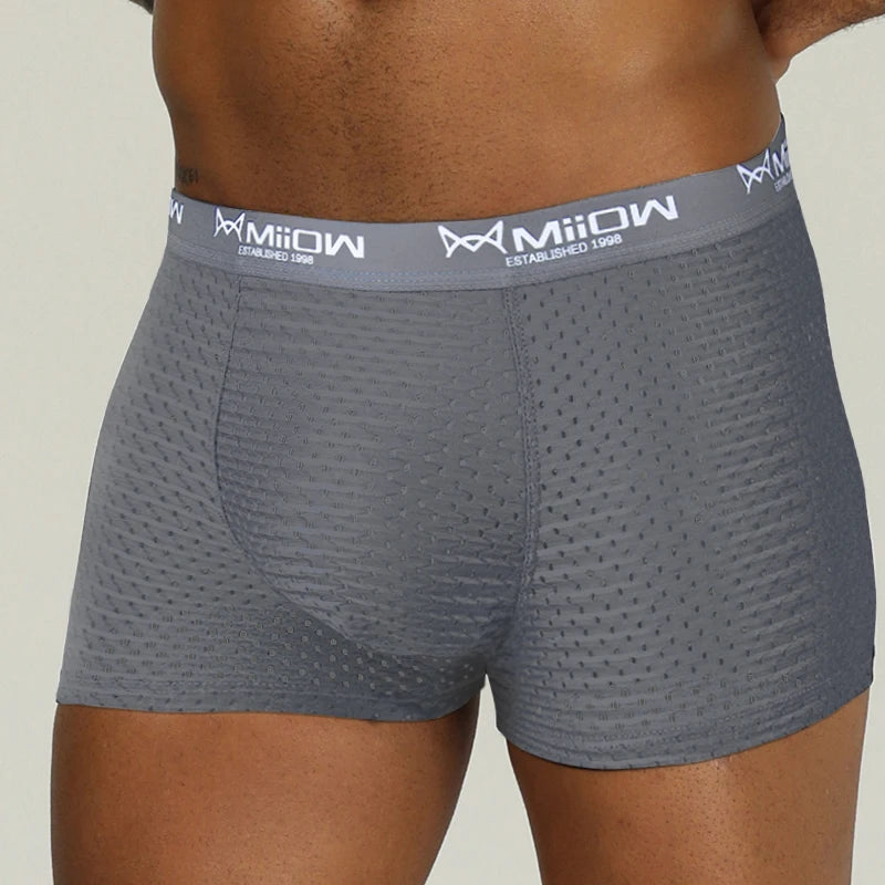 MiiOW Sexy Men Boxer Shorts Underwear Mesh Breathable Ice Silk Male Panties Lingerie Underpants Boxershorts Plus Size L-4XL 2022