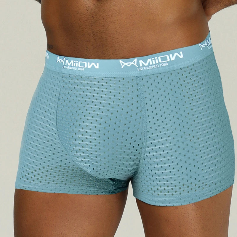 MiiOW Sexy Men Boxer Shorts Underwear Mesh Breathable Ice Silk Male Panties Lingerie Underpants Boxershorts Plus Size L-4XL 2022