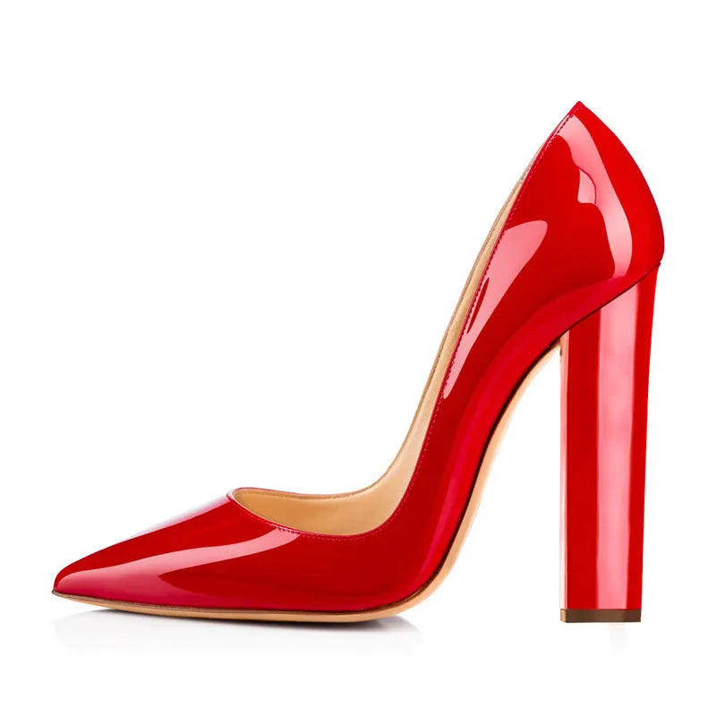 Richealnan Women Pointed Toe  Classic Slip On High Heels Thick Shoes Wedding Office Dress Big Size Chunky Lady  Block Pumps