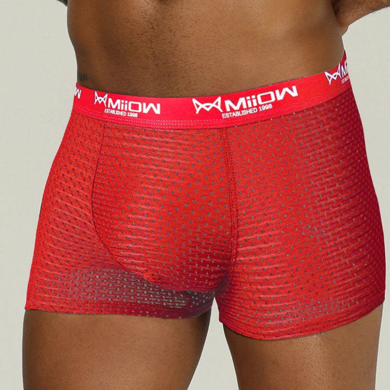 MiiOW Sexy Men Boxer Shorts Underwear Mesh Breathable Ice Silk Male Panties Lingerie Underpants Boxershorts Plus Size L-4XL 2022