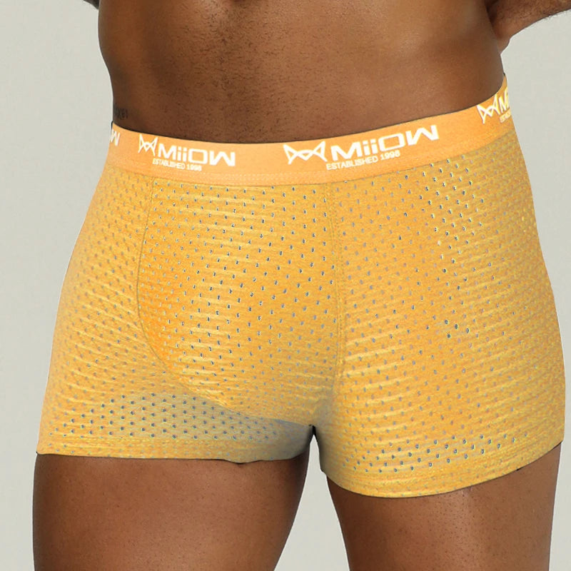 MiiOW Sexy Men Boxer Shorts Underwear Mesh Breathable Ice Silk Male Panties Lingerie Underpants Boxershorts Plus Size L-4XL 2022