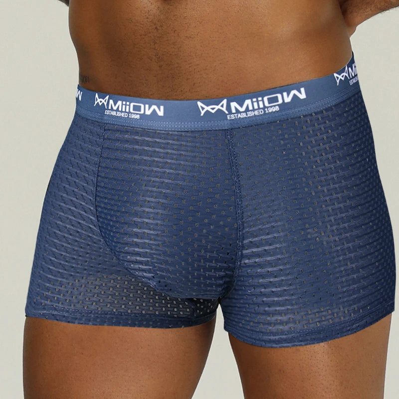 MiiOW Sexy Men Boxer Shorts Underwear Mesh Breathable Ice Silk Male Panties Lingerie Underpants Boxershorts Plus Size L-4XL 2022