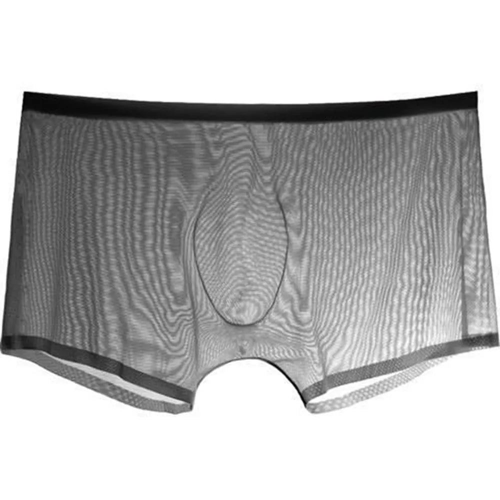Men's Underwear Transparent Boxers Bulge Ice Silk See Through Underpants Sexy Briefs Low Waist Panties Lingerie Intimates