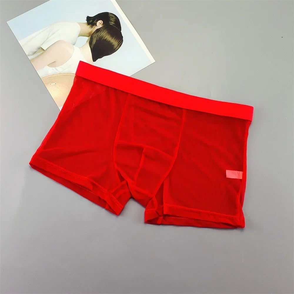 Transparent Mesh Plus Size Boxers Underwears Men Perspective Bulge Pouch Shorts Low Waist Male Panties Lingerie Intimates