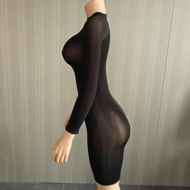 Sexy Ultra-Elastic Perspective Thin Long Sleeved Dress Dress Self-cultivation Women Clothing Tight-fitting Multiple Styles Dress
