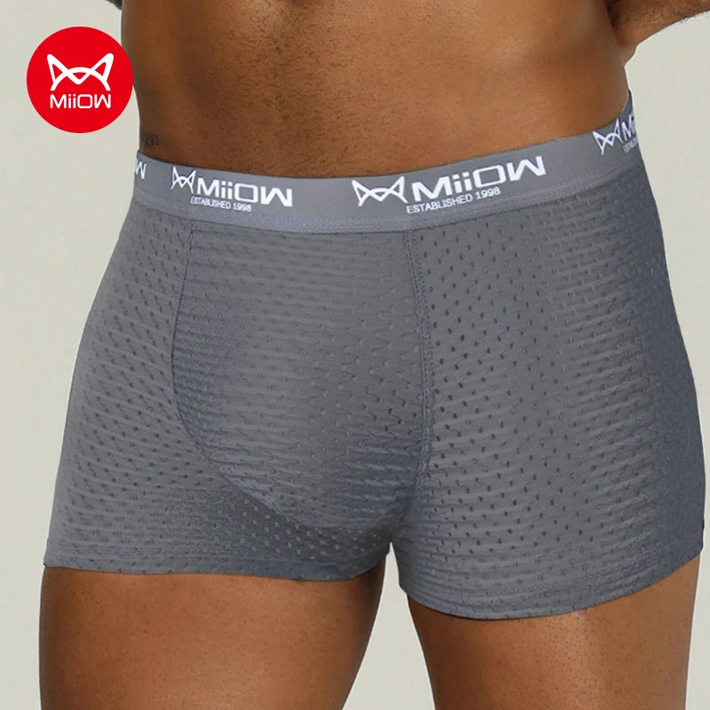 MiiOW Sexy Men Boxer Shorts Underwear Mesh Breathable Ice Silk Male Panties Lingerie Underpants Boxershorts Plus Size L-4XL 2022