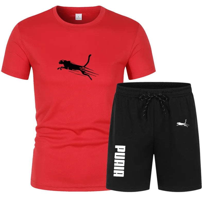 Sports Set Summer New Men's Quick Drying Mesh Set Men's T-shirt+Shorts 2-piece Set Men Casual Fitness Jogging Training Set