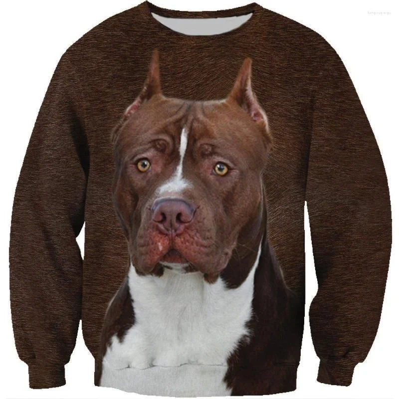 3D Printed Shetland Sheepdog Pomeranian Hoodie Men Pets Dog Graphic Long Sleeved Sweatshirt Spring Autumn Round Neck Pullovers