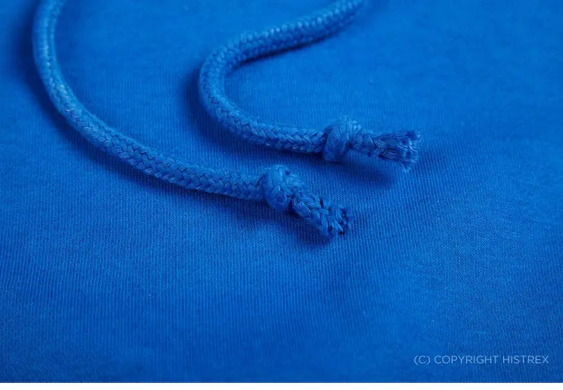 Top Quality Custom Embroidery Cotton Hoodie Your Design Brand Company Logo Text Men Womens Thick Fleece Warm Sweatshirt 350gsm