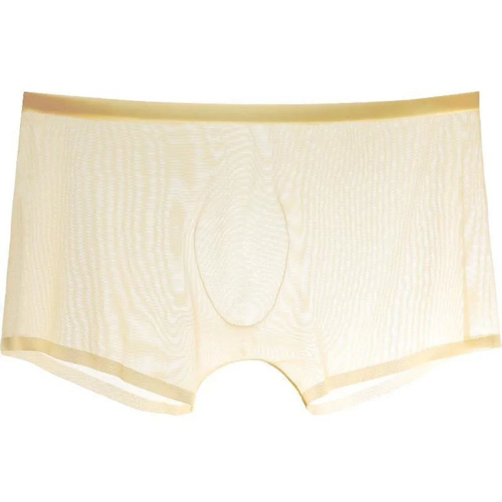 Men's Underwear Transparent Boxers Bulge Ice Silk See Through Underpants Sexy Briefs Low Waist Panties Lingerie Intimates
