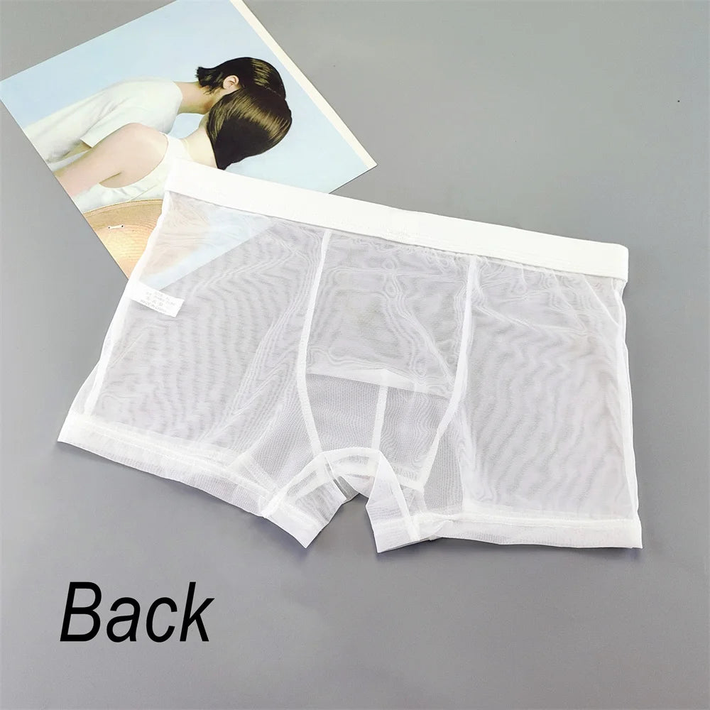 Transparent Mesh Plus Size Boxers Underwears Men Perspective Bulge Pouch Shorts Low Waist Male Panties Lingerie Intimates