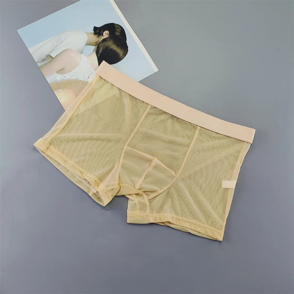 Transparent Mesh Plus Size Boxers Underwears Men Perspective Bulge Pouch Shorts Low Waist Male Panties Lingerie Intimates