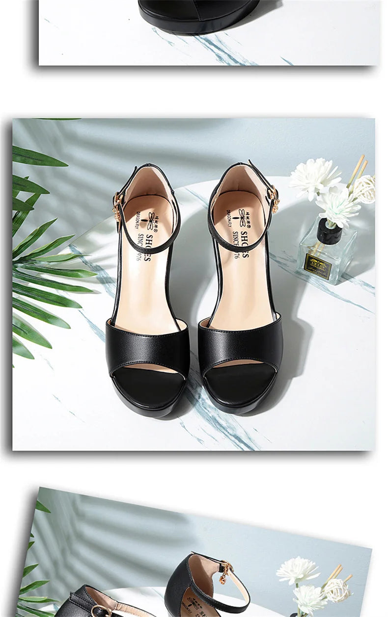 Summer Women Block Heels Fashion Breathable High Heels Sandals Classic Fish Mouth Buckle Versatile Waterproof Platform Sandals
