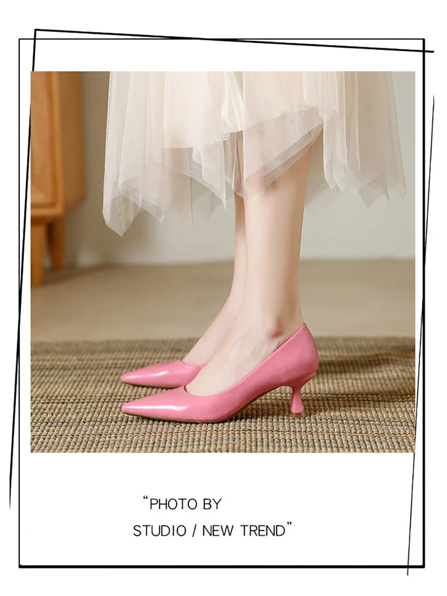 Soft Leather Concise Ladies Office Shoes 2026 Spring Shallow Comfort 6.0cm High Heels Women Pumps Dress Pointy Toe Wedding Shoes