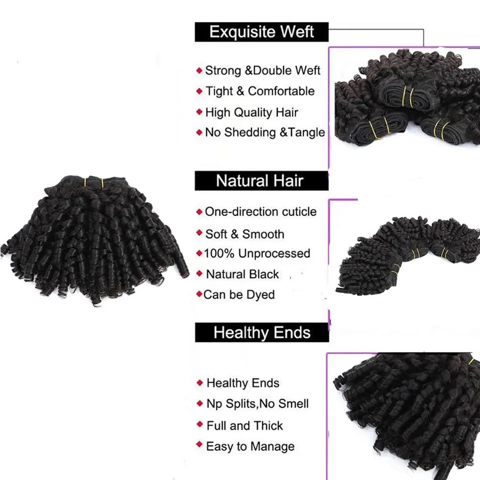 Baierte Brazilian Funmi Bouncy Curly Human Hair Weave Bundle Machine Double Weft Virgin Funmi Curly Human Hair Bundles For Women