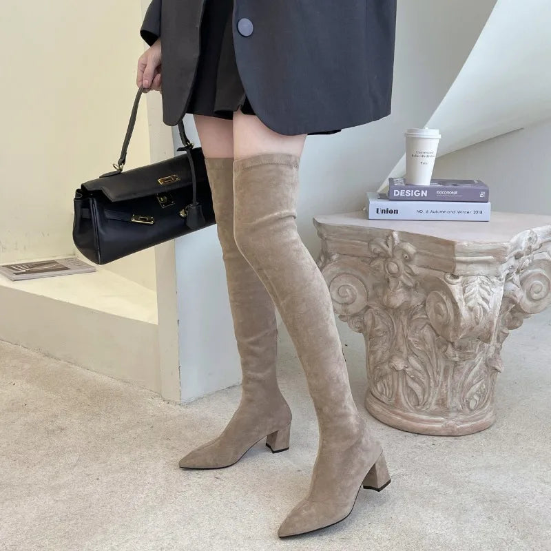 Sexy High Boots Women 2023 Winter New Fashion Over The Knee Warm Botas  Suede Lace Up Pumps Sock Shoes High Heels Boots