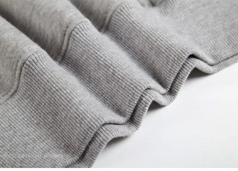 Top Quality Custom Embroidery Cotton Hoodie Your Design Brand Company Logo Text Men Womens Thick Fleece Warm Sweatshirt 350gsm