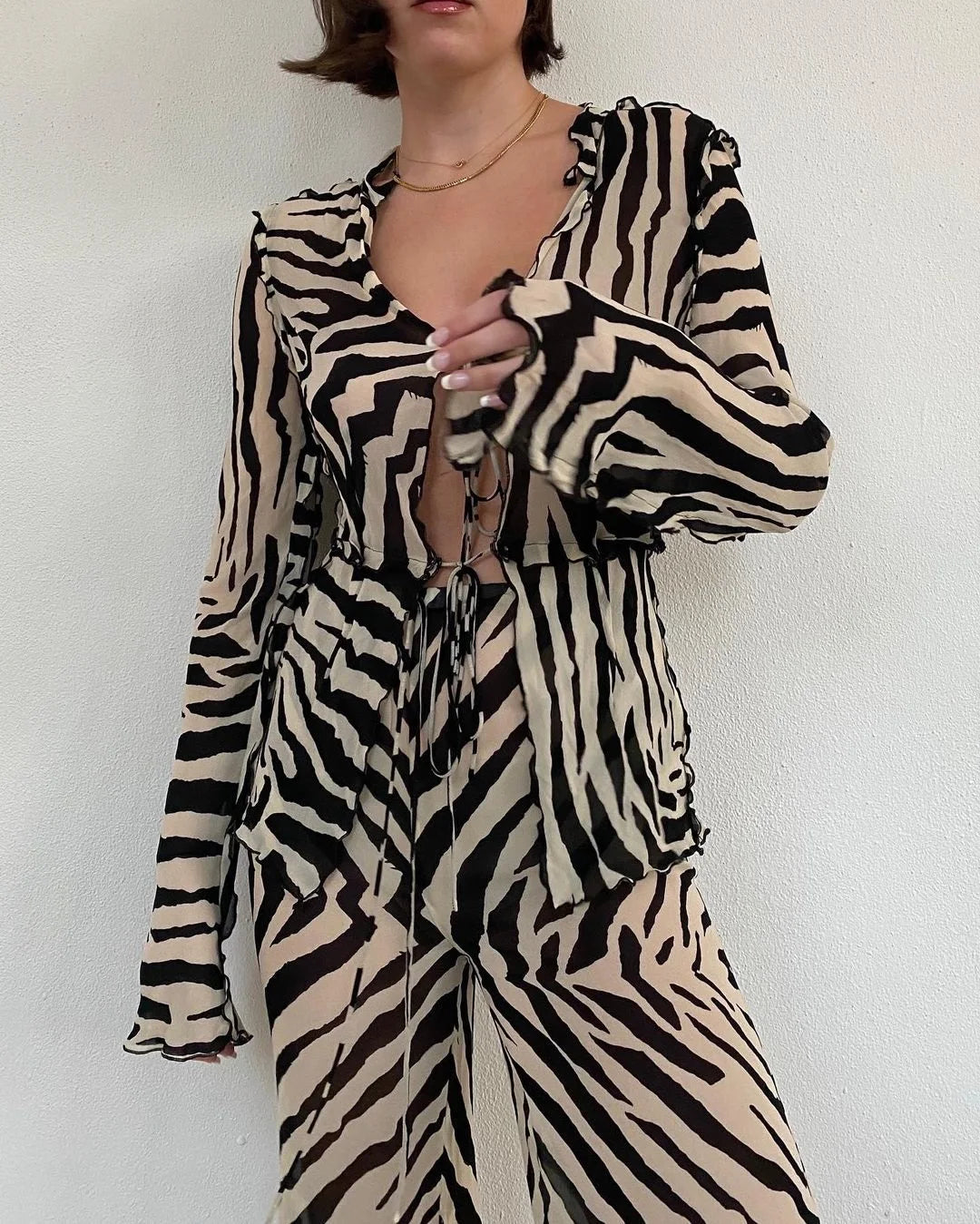 Cryptographic Animal Print Mesh Sheer Stripe Tie Front Detail Top Matching Sets Fashion Outfits 2 Piece Sets Holiday Beachwear