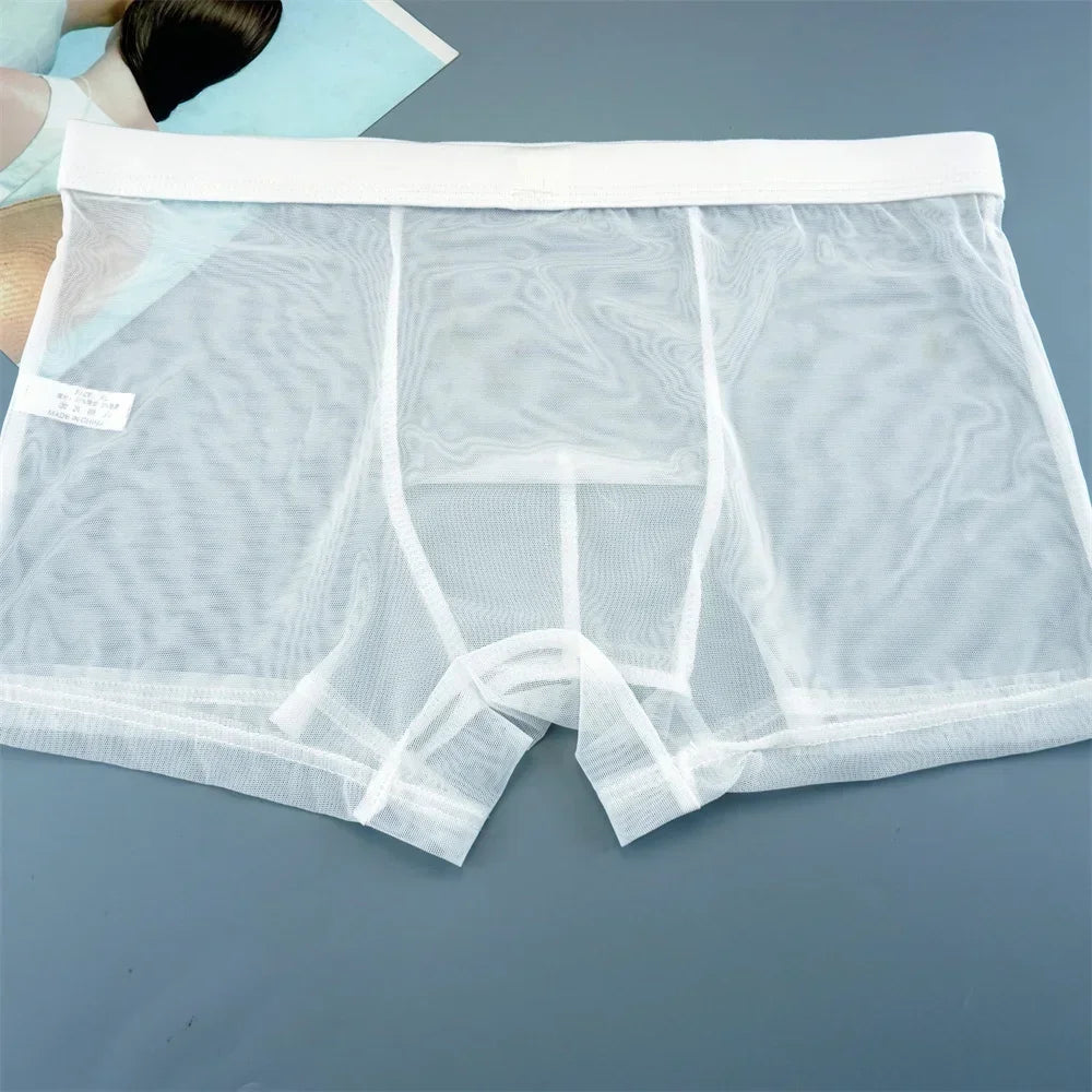 Transparent Mesh Plus Size Boxers Underwears Men Perspective Bulge Pouch Shorts Low Waist Male Panties Lingerie Intimates