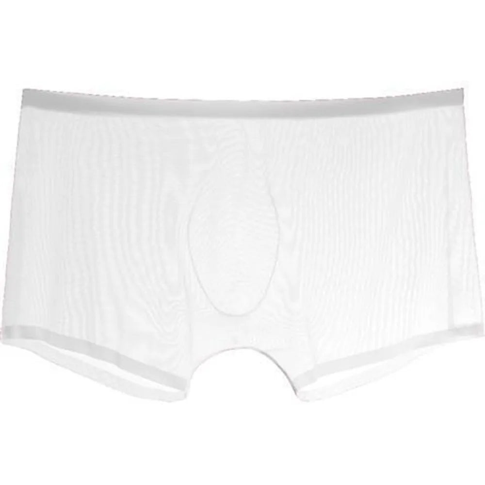 Men's Underwear Transparent Boxers Bulge Ice Silk See Through Underpants Sexy Briefs Low Waist Panties Lingerie Intimates