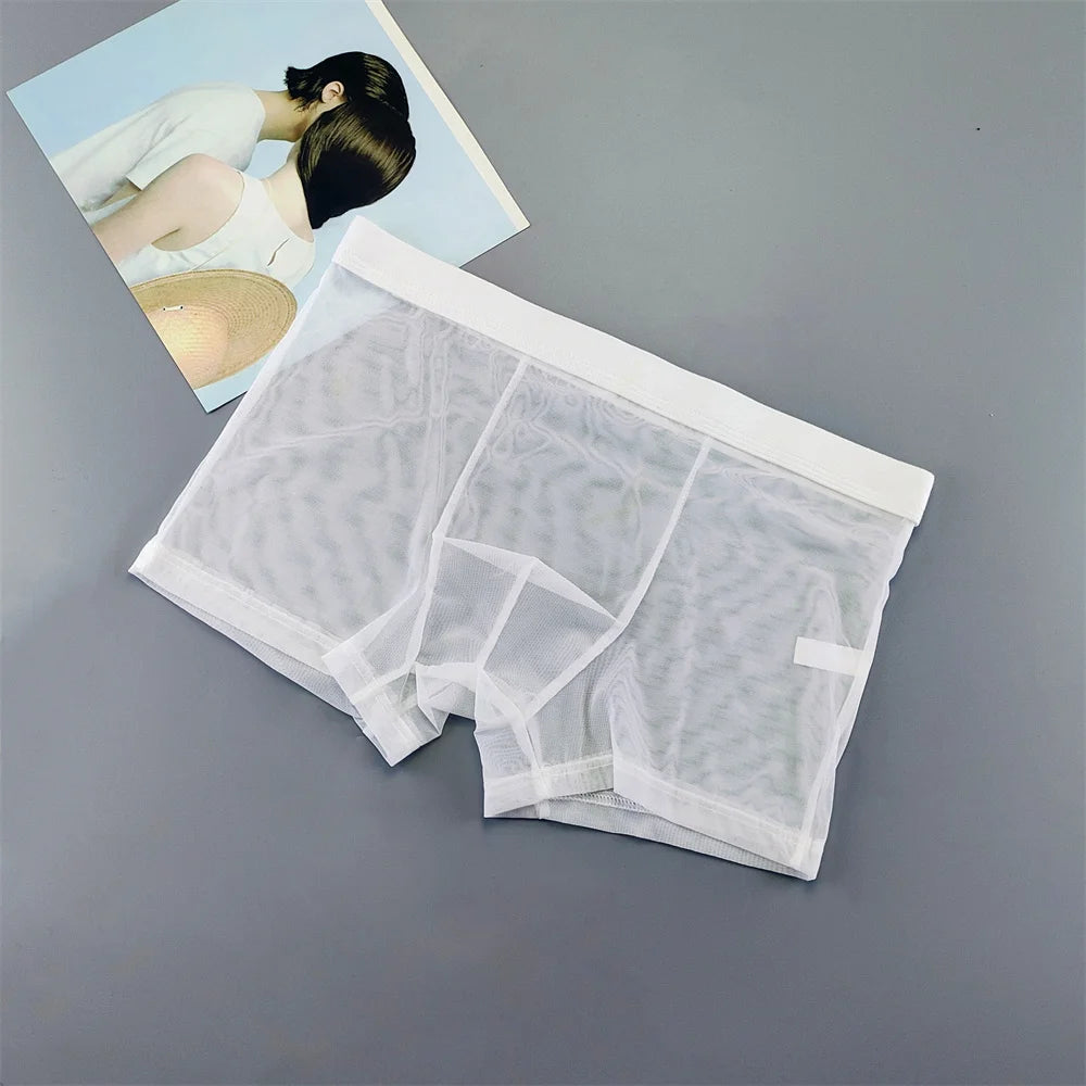 Transparent Mesh Plus Size Boxers Underwears Men Perspective Bulge Pouch Shorts Low Waist Male Panties Lingerie Intimates