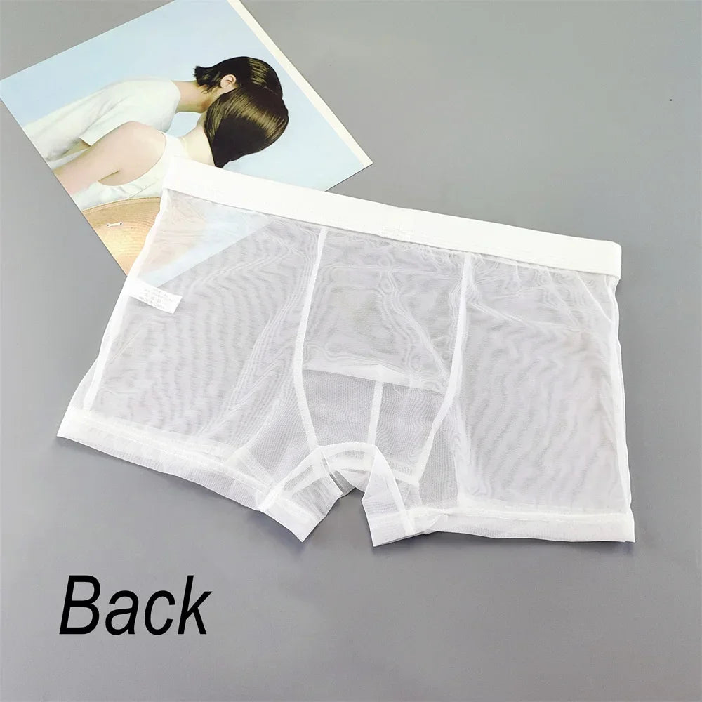 Transparent Mesh Plus Size Boxers Underwears Men Perspective Bulge Pouch Shorts Low Waist Male Panties Lingerie Intimates