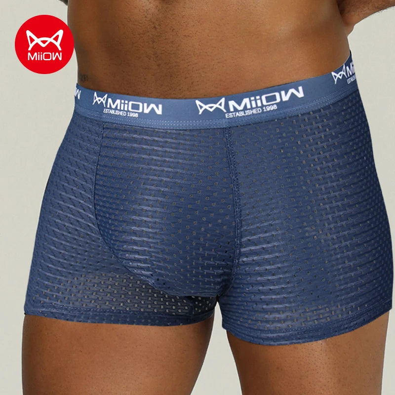 MiiOW Sexy Men Boxer Shorts Underwear Mesh Breathable Ice Silk Male Panties Lingerie Underpants Boxershorts Plus Size L-4XL 2022