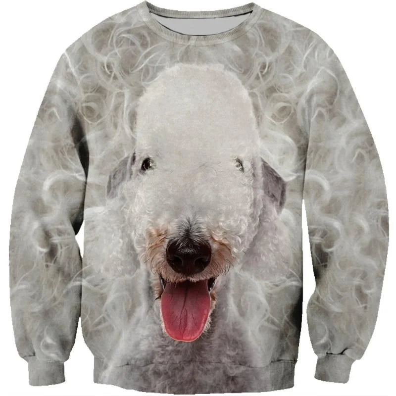 3D Printed Shetland Sheepdog Pomeranian Hoodie Men Pets Dog Graphic Long Sleeved Sweatshirt Spring Autumn Round Neck Pullovers