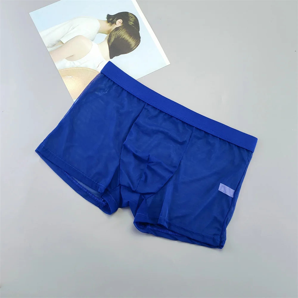 Transparent Mesh Plus Size Boxers Underwears Men Perspective Bulge Pouch Shorts Low Waist Male Panties Lingerie Intimates