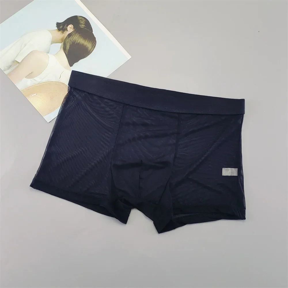 Transparent Mesh Plus Size Boxers Underwears Men Perspective Bulge Pouch Shorts Low Waist Male Panties Lingerie Intimates