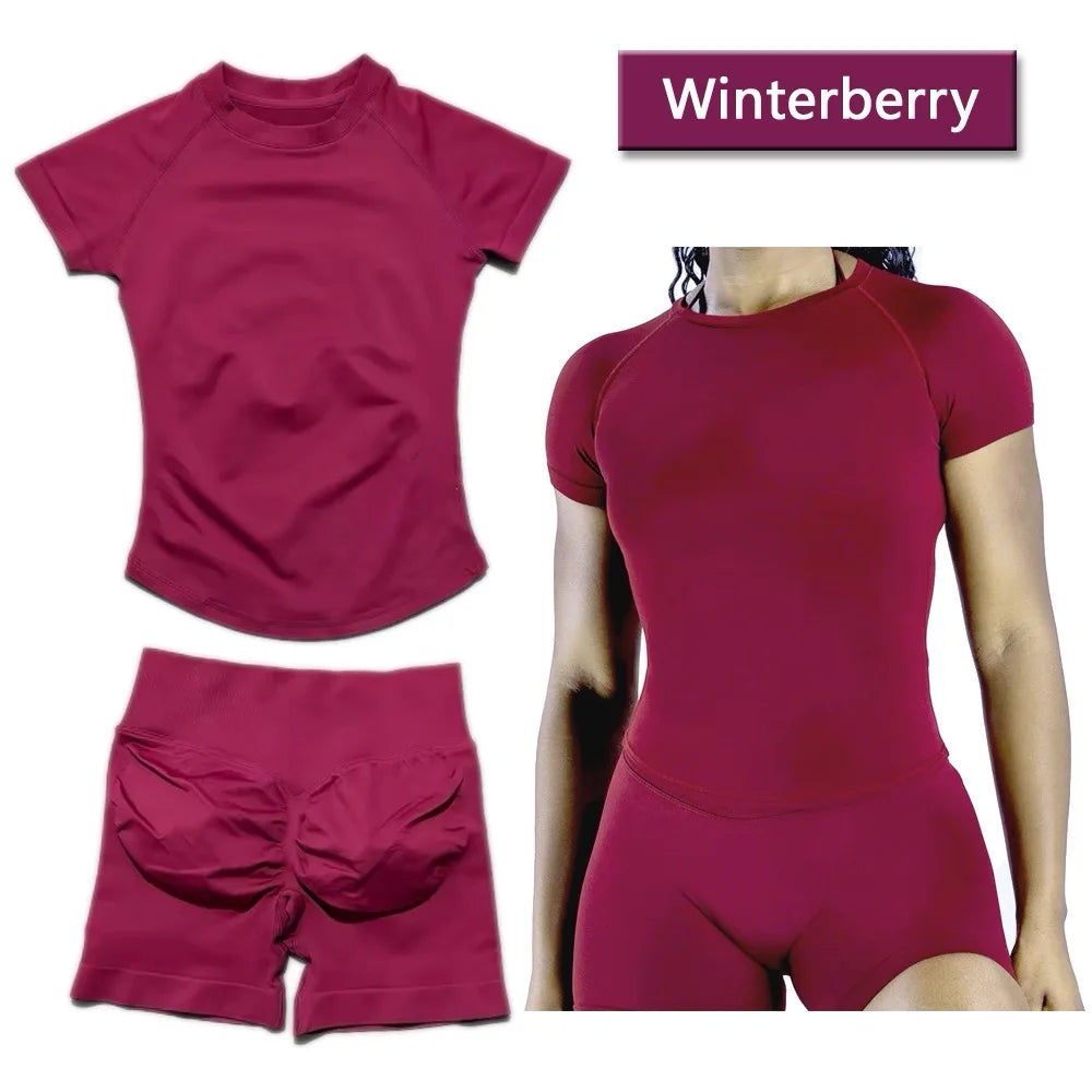 2 Pieces Sports Sets Short Sleeve Seamless Yoga Top Fitness Set Women Workout Running Sports Shorts Gym Suit