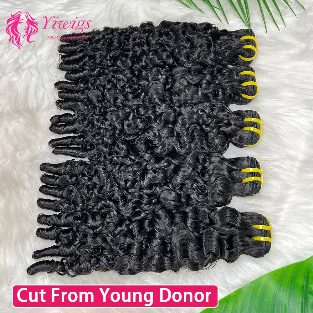 Burmese Curly Bundles Human Hair Extensions Burmese Pixie Curls Raw Hair 100% Human Hair Bundles Weave 1/3/4Pcs Full End