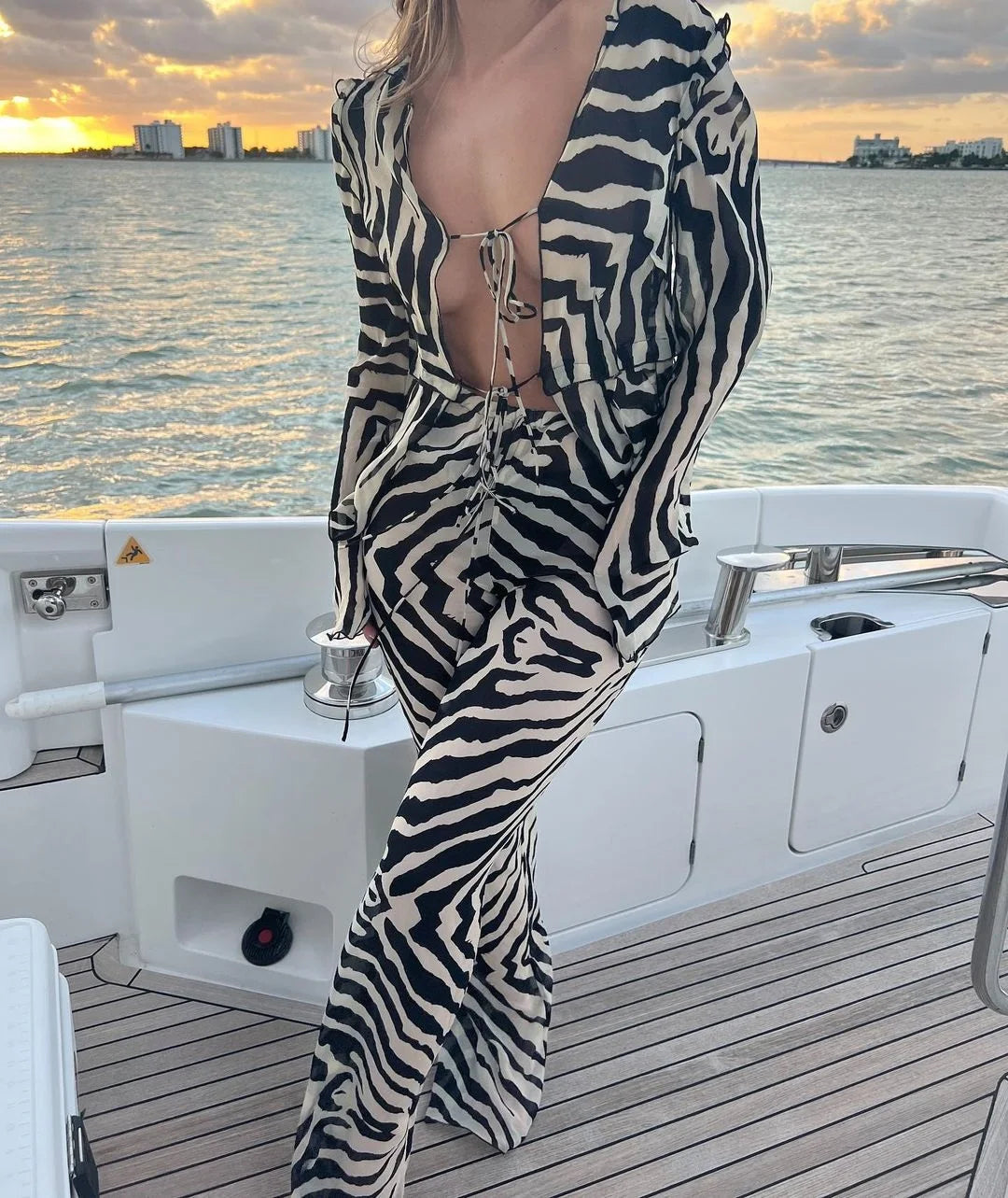 Cryptographic Animal Print Mesh Sheer Stripe Tie Front Detail Top Matching Sets Fashion Outfits 2 Piece Sets Holiday Beachwear