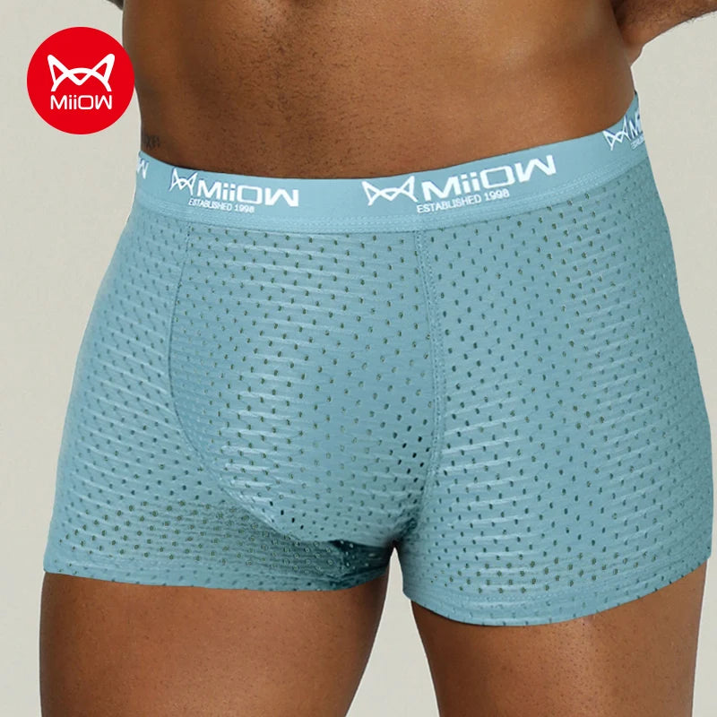 MiiOW Sexy Men Boxer Shorts Underwear Mesh Breathable Ice Silk Male Panties Lingerie Underpants Boxershorts Plus Size L-4XL 2022