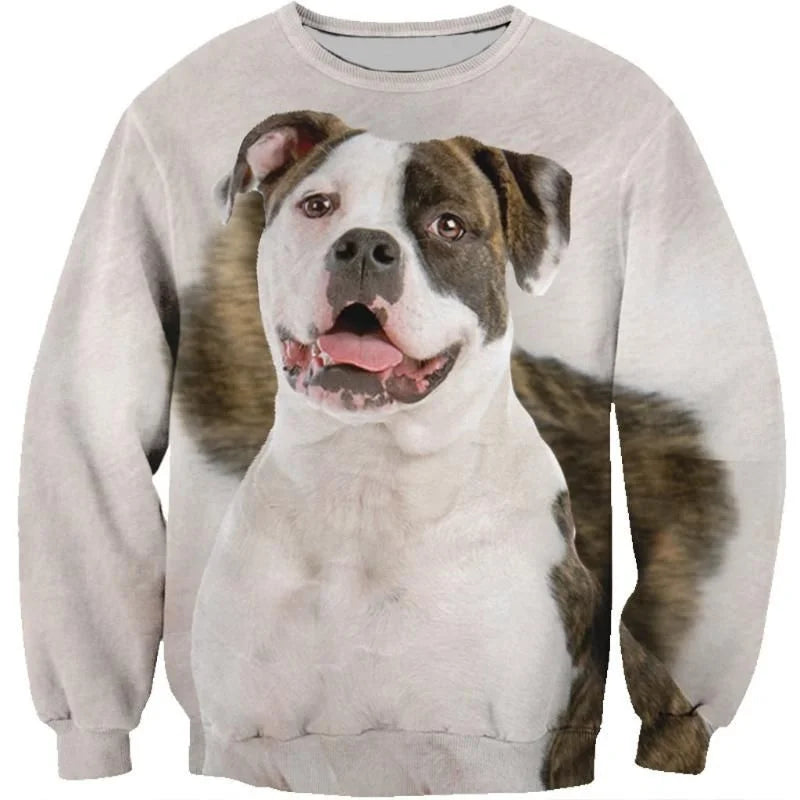 3D Printed Shetland Sheepdog Pomeranian Hoodie Men Pets Dog Graphic Long Sleeved Sweatshirt Spring Autumn Round Neck Pullovers
